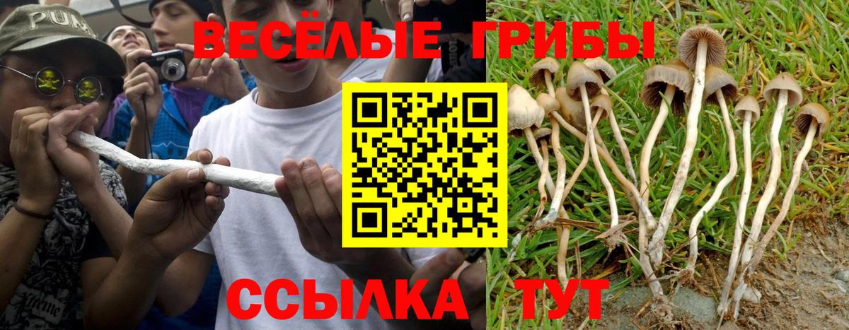 Псилоцибиновые грибы прущие грибы  Вход с VPN  Воскресенск 